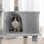 Compacte Krabpaal Van – Kattenboom met Hangmat, Krabpalen en Speelballen Voor Meerdere Katten