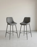 Barkrukken Set van 2 - Barstoelen - Hoge Stoelen