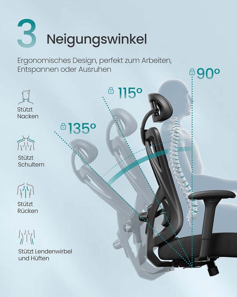 Ergonomische Bureaustoel – Verstelbare Hoofdsteun En Lendensteun – Mesh Office Chair – Belastbaar Tot 150 kg