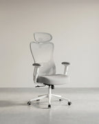 Ergonomische Bureaustoel – Verstelbare Lendensteun – Ademend Netweefsel – Kantelfunctie – Draagvermogen 150 kg