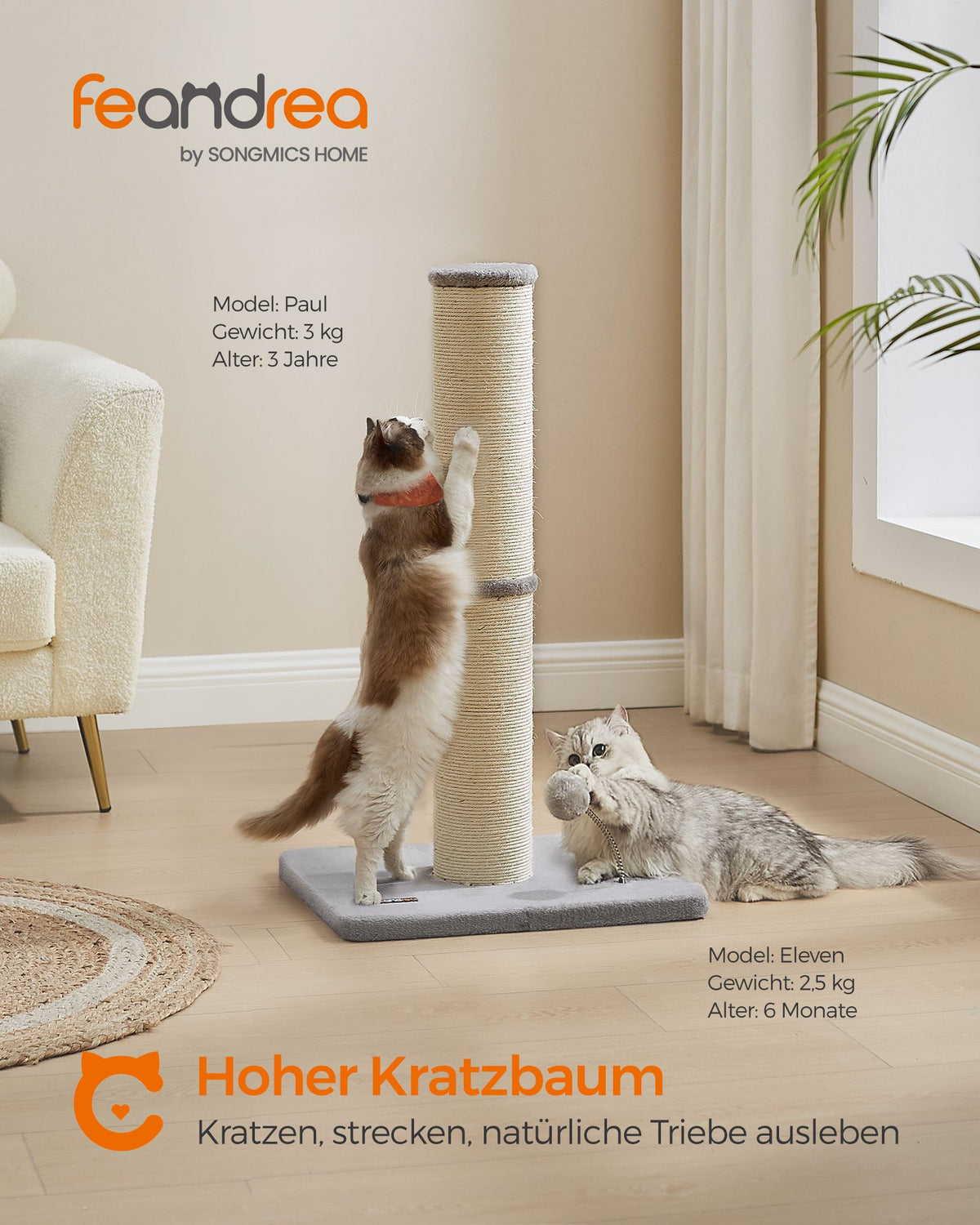 Kattenkrabpaal – 85 cm Hoog – Extra Dikke Sisalpaal – Stabiele Basis – Met Speelbal