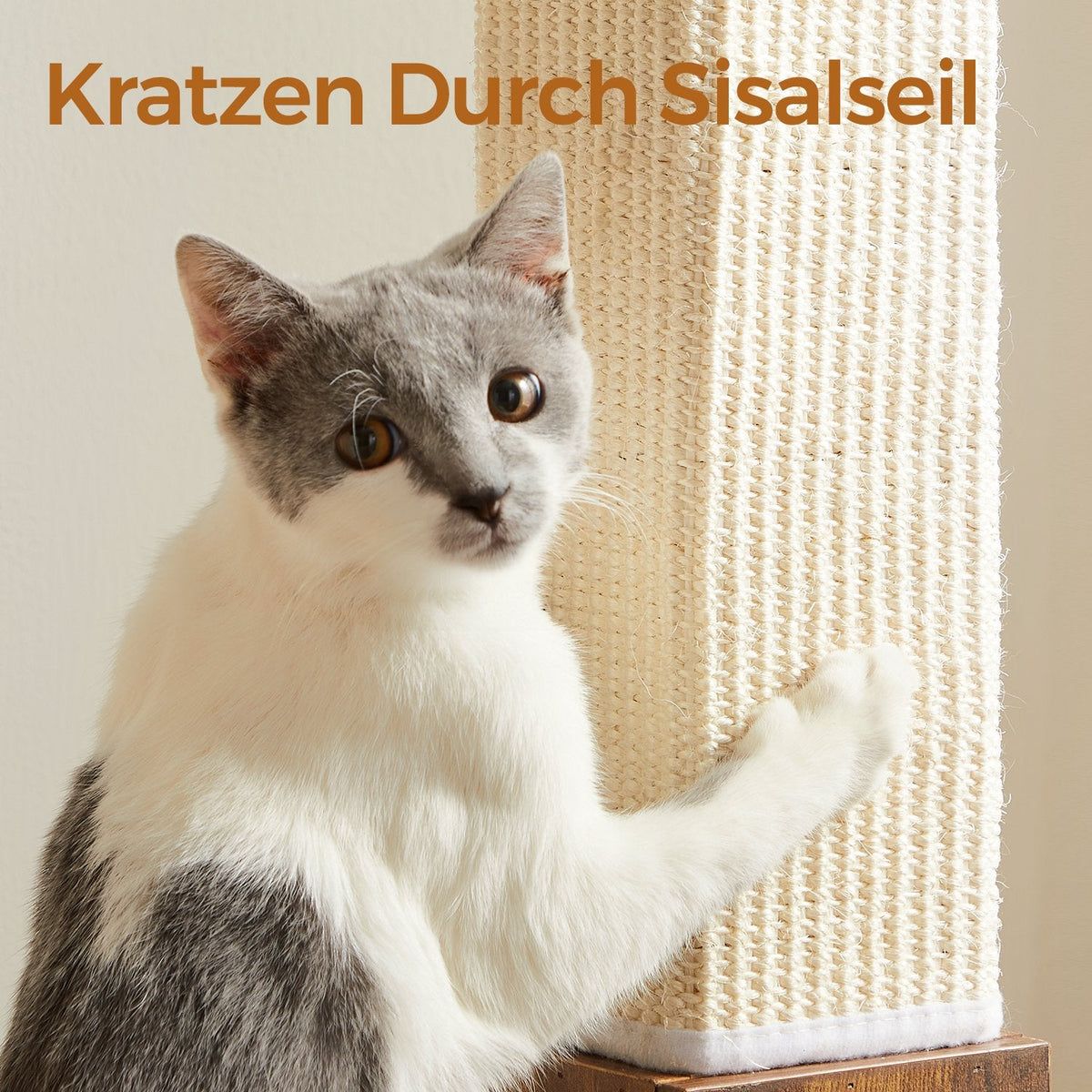 Kattenkrabpaal – 73 cm Hoog – Sisaltouw – Antislip Basis – Beschermt Meubels